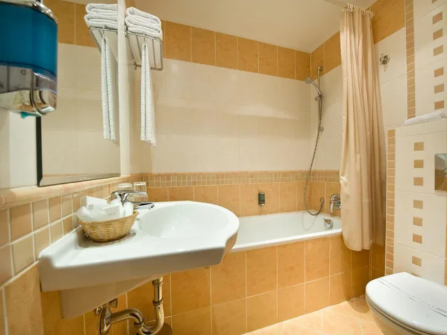 غرفة مفردة، Ea Hotel Rokoko 7/8