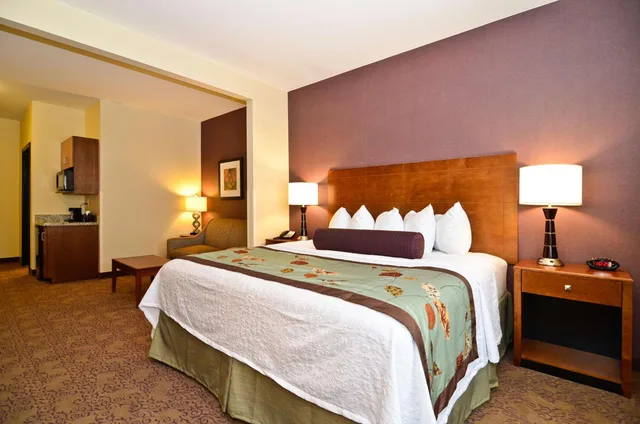 جناح بسرير كينج بغرفة نوم واحدة مع أريكة، Best Western Plus Carousel Inn & Suites 2/8