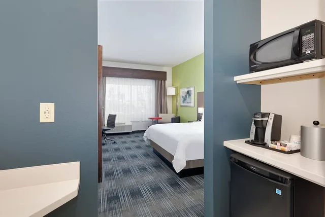 غرفة قياسية بسرير كينج يُسمح فيها بالحيوانات الأليفة، Holiday Inn Express Suites Farmers Branch 9/10
