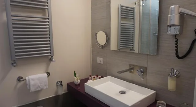 غرفة قياسية مفردة بسرير مزدوج، Trevi Palace Luxury Inn 2/2