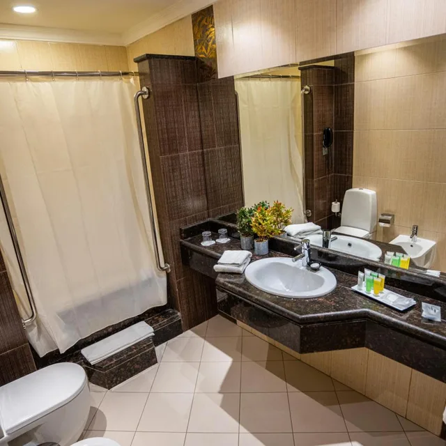 جناح بانورامي، Ayass Hotel 9/10