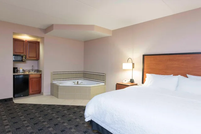 Room, King Bed, Bath and Shower, Sofa، Hampton Inn and Suites Indianapolis - Fishers 2/4