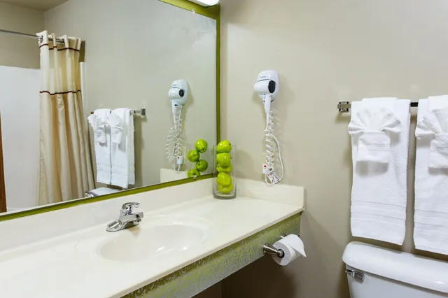 جناح تنفيذي بسريرين مزدوجين، Extended Stay Airport 7/8