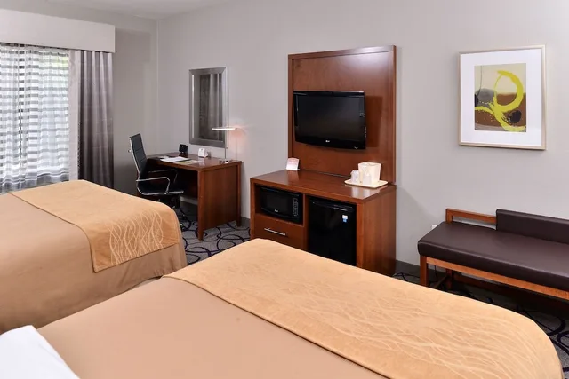 جناح بسريرين كوين مع أريكة لذوي الإعاقة، Comfort Inn & Suites Frisco - Plano 1/4