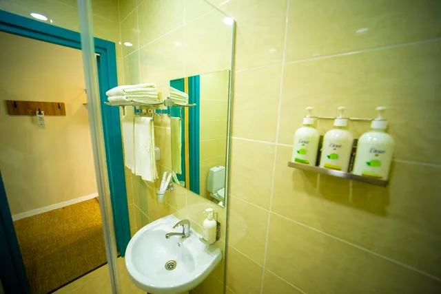 غرفة قياسية بسرير مزدوج أو سريرين منفصلين، City Inn Tbilisi 6/8