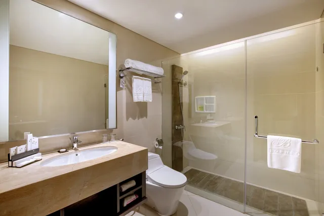 غرفة ديلوكس بسريرين منفصلين، SWISS-BELHOTEL BORNEO BANJARMASIN 7/7