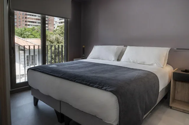 شقة بسرير مزدوج، Hotel Almasur Providencia 1/5