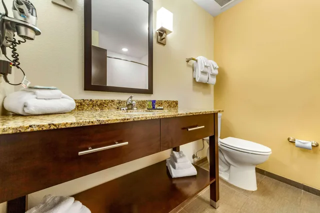 جناح بسرير كينج مع أريكة لذوي الإعاقة، Sleep Inn & Suites Lincoln University Area 5/5