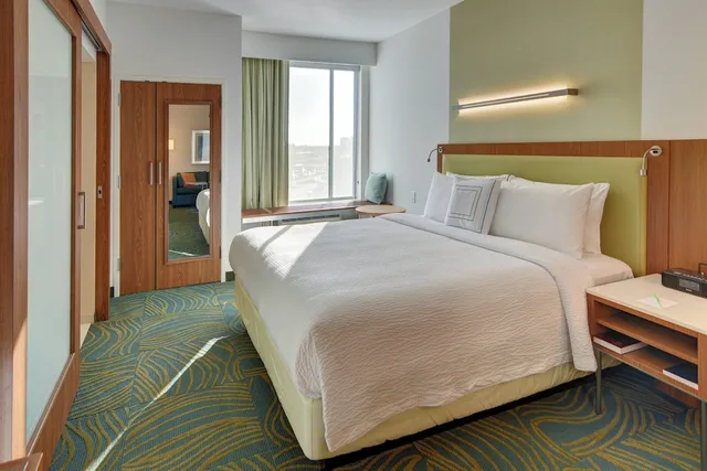 جناح بسرير كينج مع سرير سحّاب إضافي لذوي الإعاقة، SPRINGHILL SUITES DALLAS PLANO/FRISCO 1/5