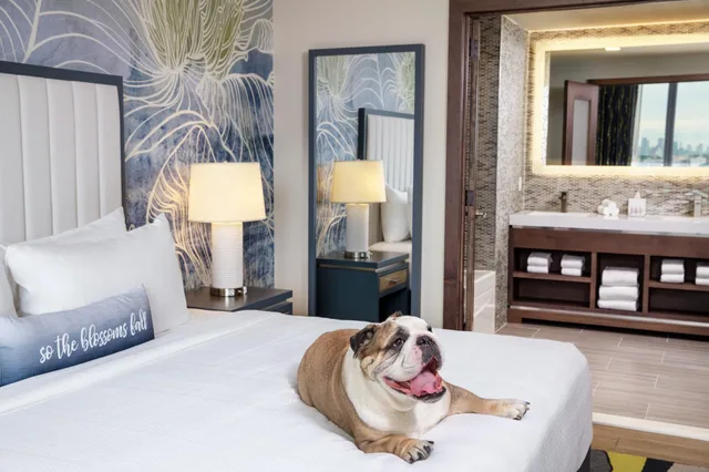 جناح بغرفة نوم واحدة، Hotel Indigo Flushing 1/3