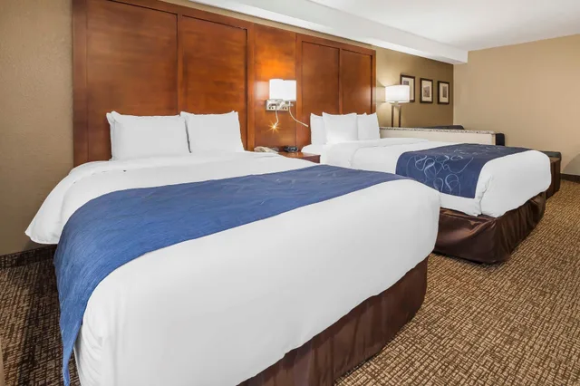 جناح بسريرين كوين لذوي الإعاقة، Comfort Suites El Paso Airport 3/9