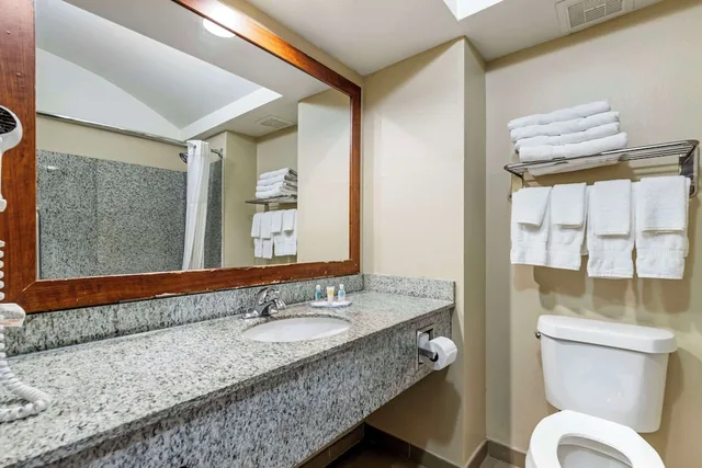 جناح استوديو بسريرين كوين مع أريكة، Comfort Inn and Suites Seguin, TX 5/6