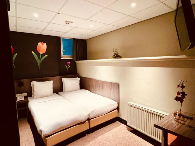 Semi Basement, Twin Beds, Mozart 1/1