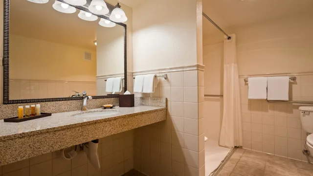 غرفة قياسية كبيرة بسرير كينج بإطلالة على المسبح بشرفة، Best Western Plus Royal Oak Hotel 5/6