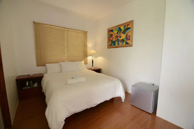 غرفة ديلوكس بسرير كينج، DISCOVER BORACAY HOTEL AND SPA 6/8