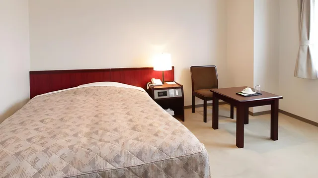 Standard, Single, Double Bed, Smoking, Hotel Green Park 1/1