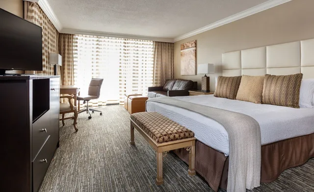 Executive, Suite, King Bed, Adult Only, Corner، The San Luis Resort Spa & Conference Center 6/10