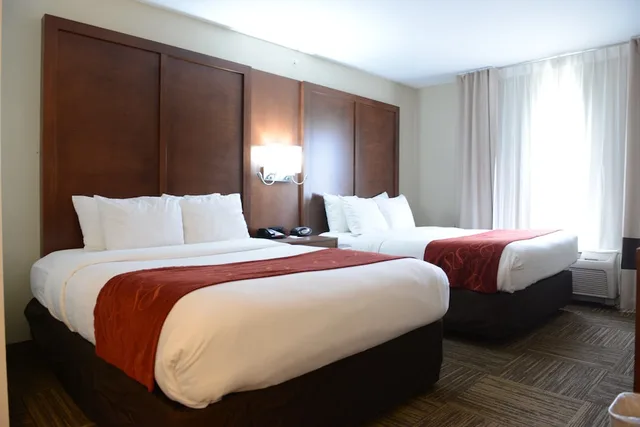 Upgrade, Suite, 2 Queen Beds, Sofa، Comfort Suites Urbana Champaign University Area 5/10