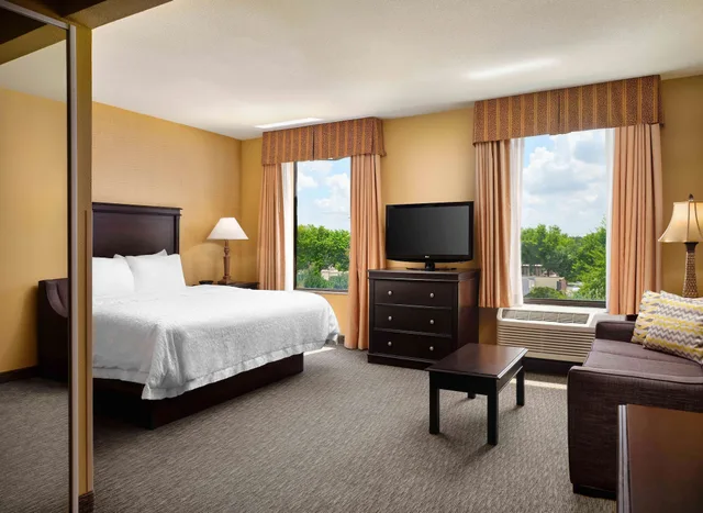 استوديو بسرير كينج، Hampton Inn And Suites Dallas Dfw Airport W Sh 183 Hurst 1/3
