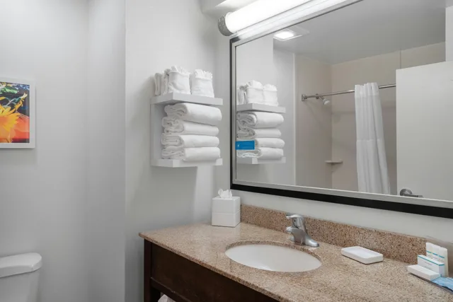 Study, King Bed, Sofa، Hampton Inn & Suites Nashville/Franklin (Cool Springs) 3/3
