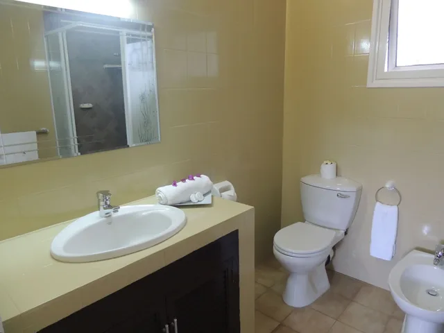 غرفة قياسية بسرير كينج، Hotel La Roussette 5/6
