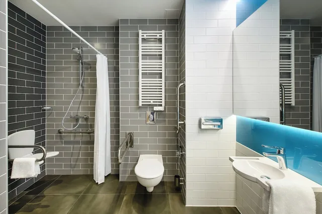 غرفة قياسية بسرير كينج لذوي الإعاقة، Holiday Inn Express Rzeszow Airport 8/9
