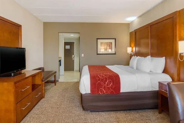Studio, Suite, King Bed, Sofa, Comfort Suites South Park 2/6