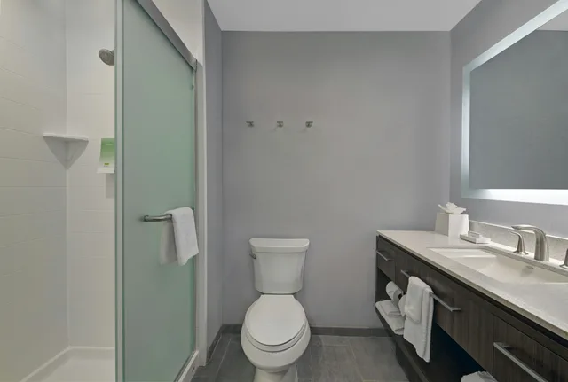 استوديو بسرير كينج لذوي الإعاقة، Home2 Suites by Hilton Memphis Wolfchase Galleria 2/3