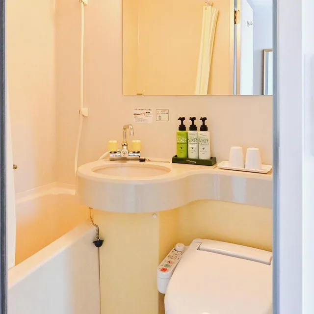 Room, Single, Smoking, Park Hotel Kani 5/8