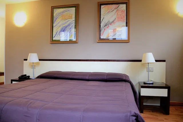 غرفة قياسية بسرير مزدوج أو سريرين منفصلين، Cristal Hotel Palermo 6/10