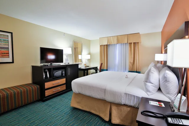 غرفة قياسية بسرير كينج لذوي الإعاقة، Holiday Inn Bismarck 7/10