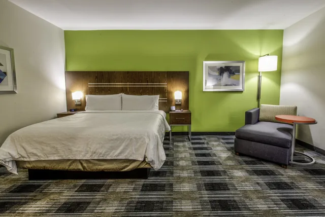 غرفة قياسية بسرير كينج يُسمح فيها بالحيوانات الأليفة، Holiday Inn Express Suites Farmers Branch 4/10