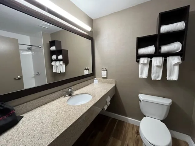 Specialty, Single Bed، Holiday Inn Express and Suites Naples Downtown 8/10