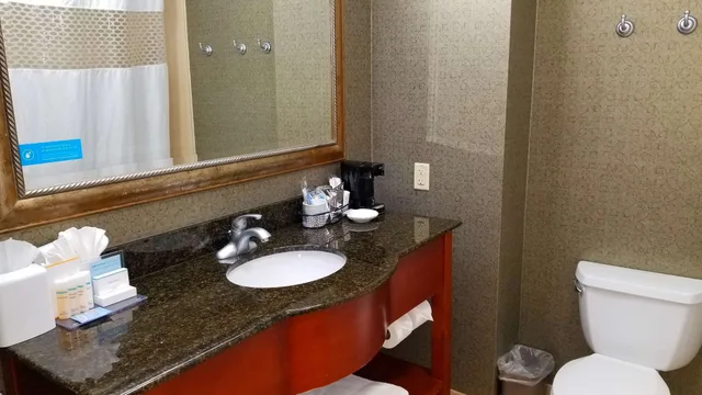 جناح بسرير كينج، Hampton Inn Bryant 3/7