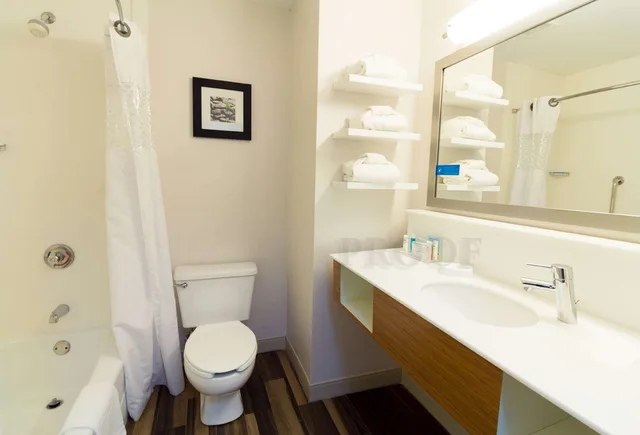 غرفة بسرير كينج بحوض جاكوزي، Hampton Inn Sevierville 9/10