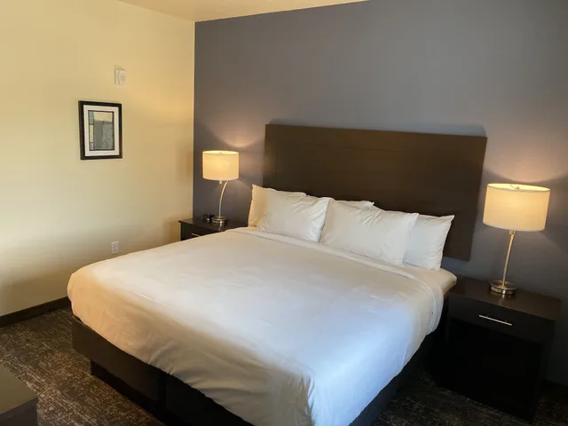 جناح مفردة بسرير كينج مع أريكة لذوي الإعاقة، Cobblestone Inn & Suites - Forest City 1/6