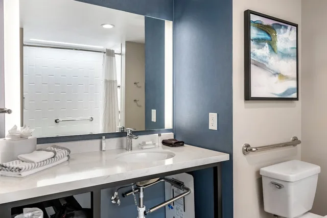 جناح بسرير كينج لذوي الإعاقة، Cambria Hotel Orlando Airport FL 4/6