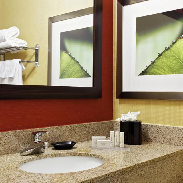 غرفة ركنية بسرير كينج مع أريكة، Courtyard Houston Brookhollow 3/4