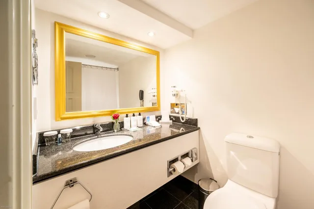 غرفة كلوب كلاسيكية بسرير كينج، Intercontinental Vienna Hotel 5/6