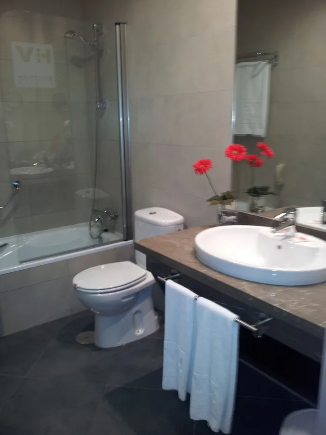 جناح جونيور بسرير مزدوج بحوض جاكوزي، Hotel Vertice Aljarafe 9/10