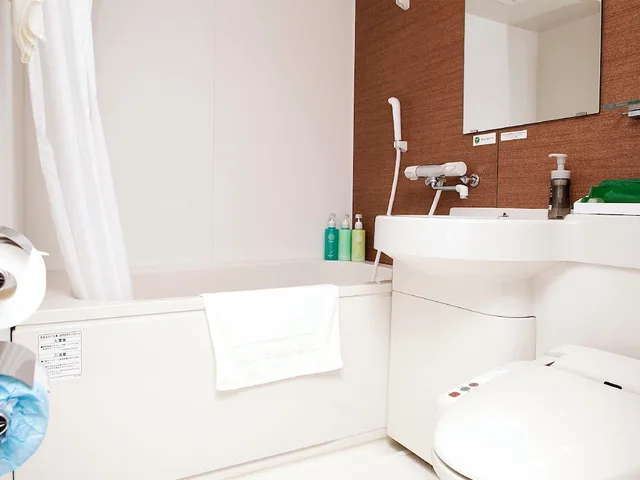 غرفة مفردة بسرير مزدوج، Hotel Route-Inn Seki 7/7