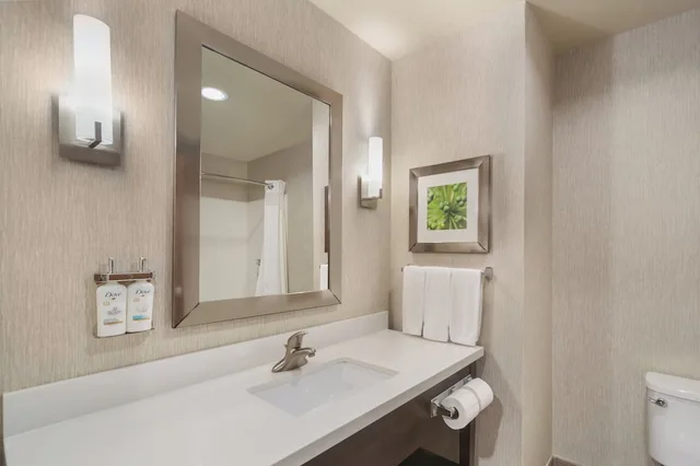 غرفة قياسية بسرير كينج لذوي الإعاقة، Holiday Inn Express & Suites Houston Nw - Tomball Area 7/8