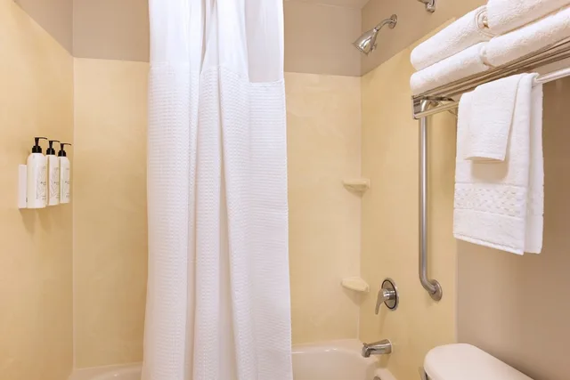 جناح بسرير كينج مع أريكة لذوي الإعاقة، Springhill Suites By Marriott Newark Liberty International 6/8