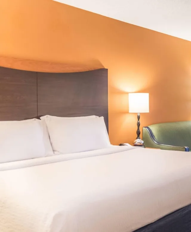 غرفة بسرير كينج لذوي الإعاقة، Fairfield Inn Suites Muskegon Norton Shores 1/5