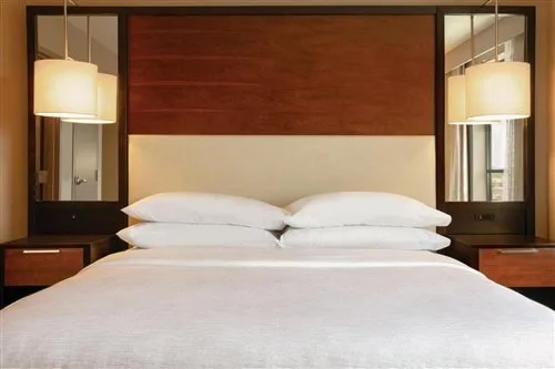 استوديو لذوي الإعاقة، Embassy Suites Chattanooga / Hamilton Place 1/1