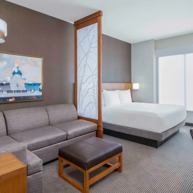 غرفة قياسية بسرير كينج مع أريكة، Hyatt Place Fort Worth-Alliance Town Center 2/3