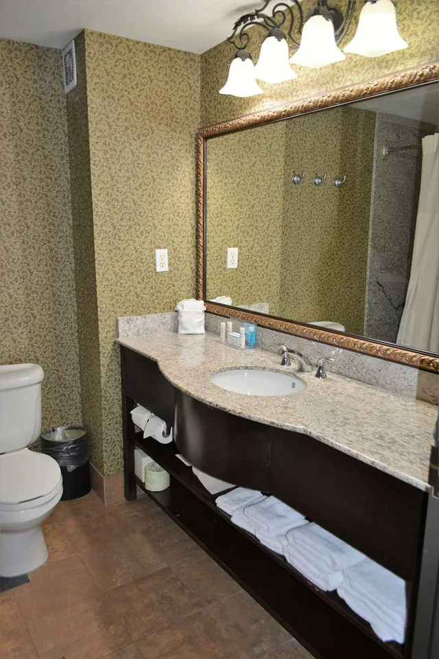 غرفة بسرير كينج مع أريكة، Hampton Inn Suites Houston Katy 5/6