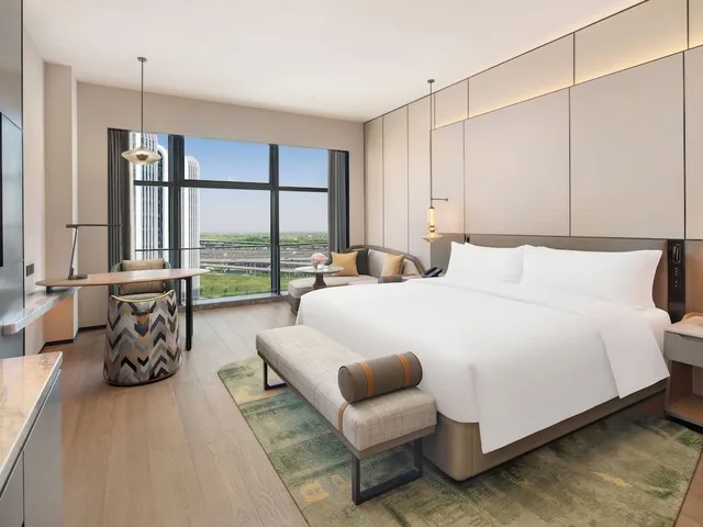 غرفة بسرير كينج لذوي الإعاقة، DoubleTree by Hilton Zhengzhou Airport Aerotropolis 1/4