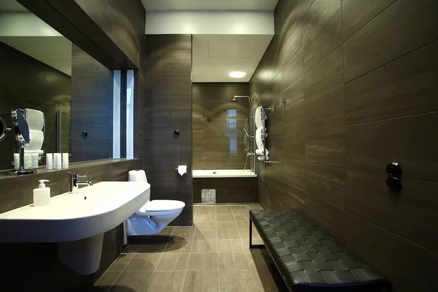 Room, King Bed, Xl، Lydmar Hotel 4/4