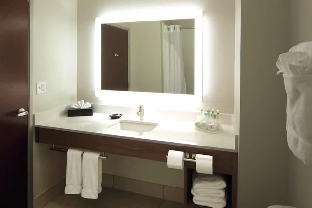 جناح بسرير كينج لذوي الإعاقة، Holiday Inn Express And Suites Omaha 120th And Maple 6/6